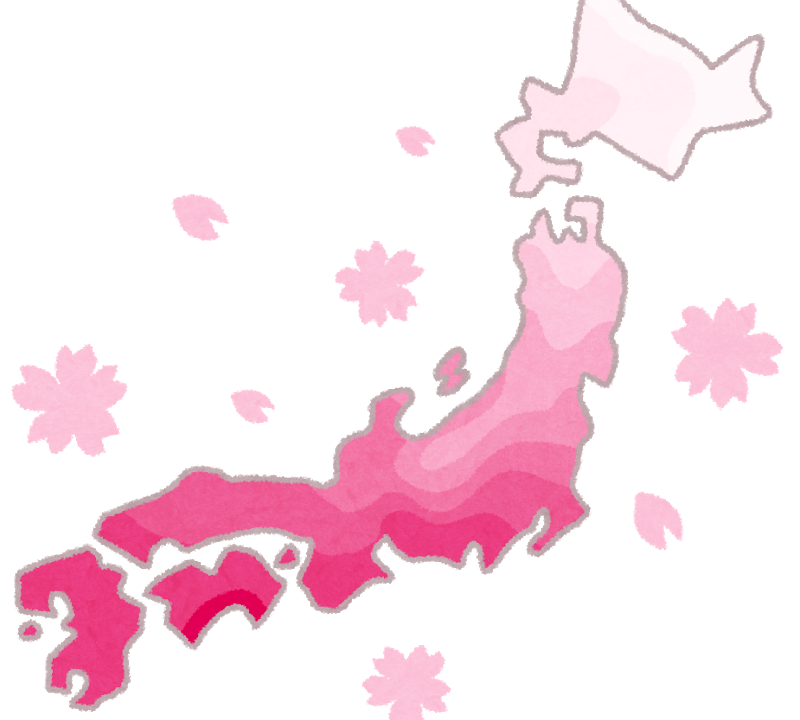 国宝松本城の桜並木 光の回廊について 諏訪 松本 伊那地域で行う理想の土地購入方法を研究する専門店 エルハウス