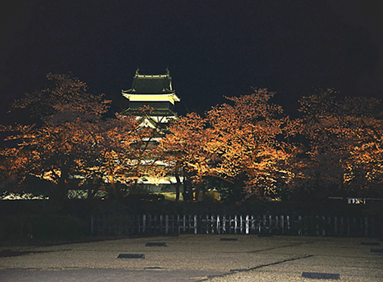 松本城の夜桜