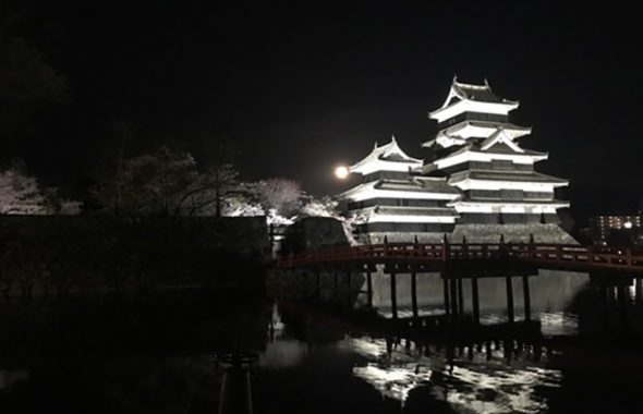 松本城　夜桜