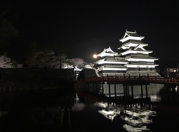 松本城　夜桜