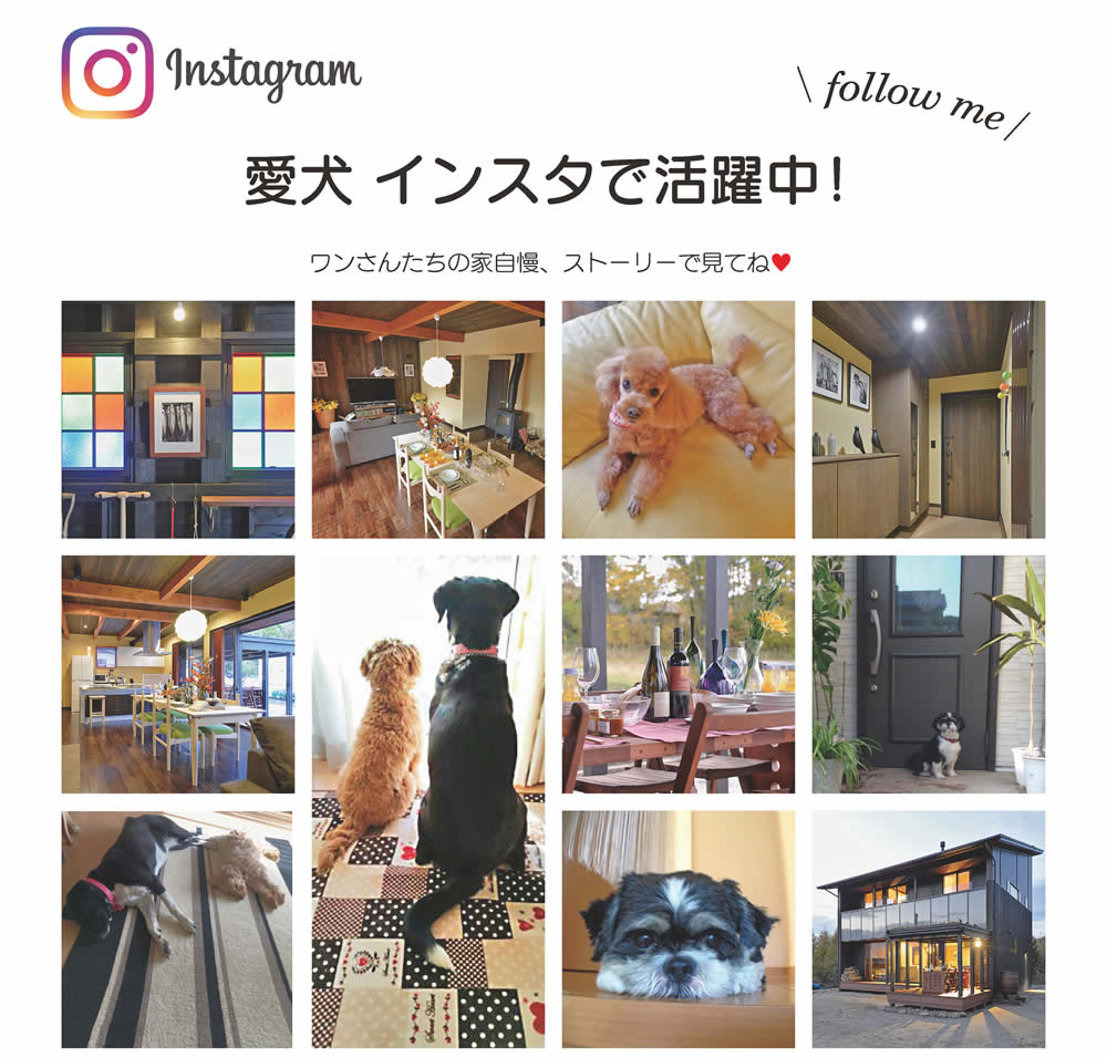 犬好きなら絶対ココ 家の施工事例と可愛い犬の写真があるインスタグラム Lhouse