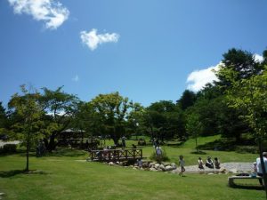松本の公園にも自然がいっぱい