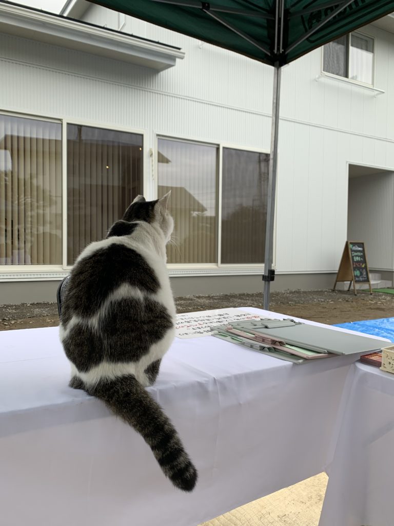 伊那市見学会場看板ねこちゃん