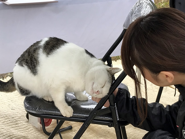 長野県伊那市エルハウス完成見学会猫とスタッフ