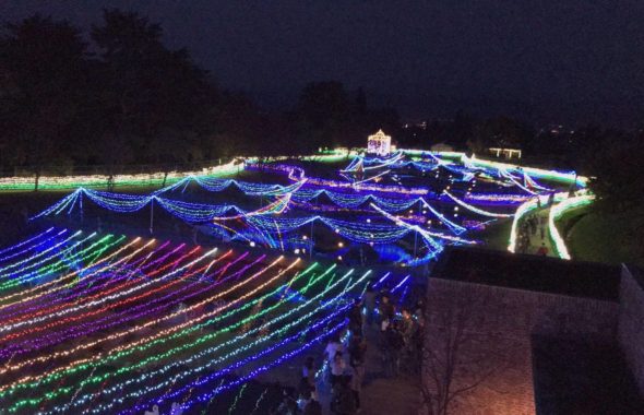 国営アルプスあずみの公園のイルミネーション