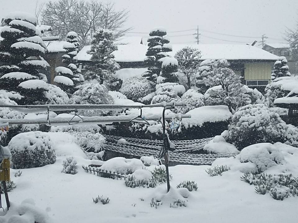 ３月２９日大雪