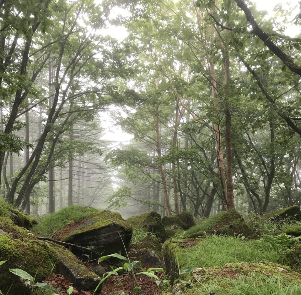 霧が峰