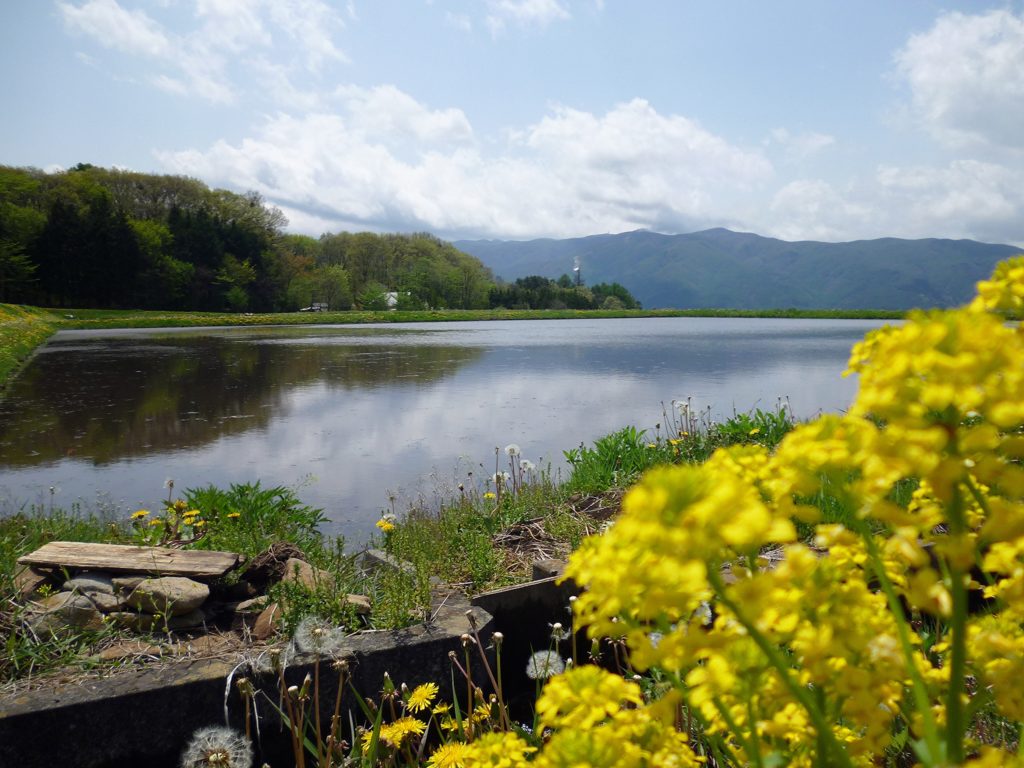 長野県諏訪郡原村の景色