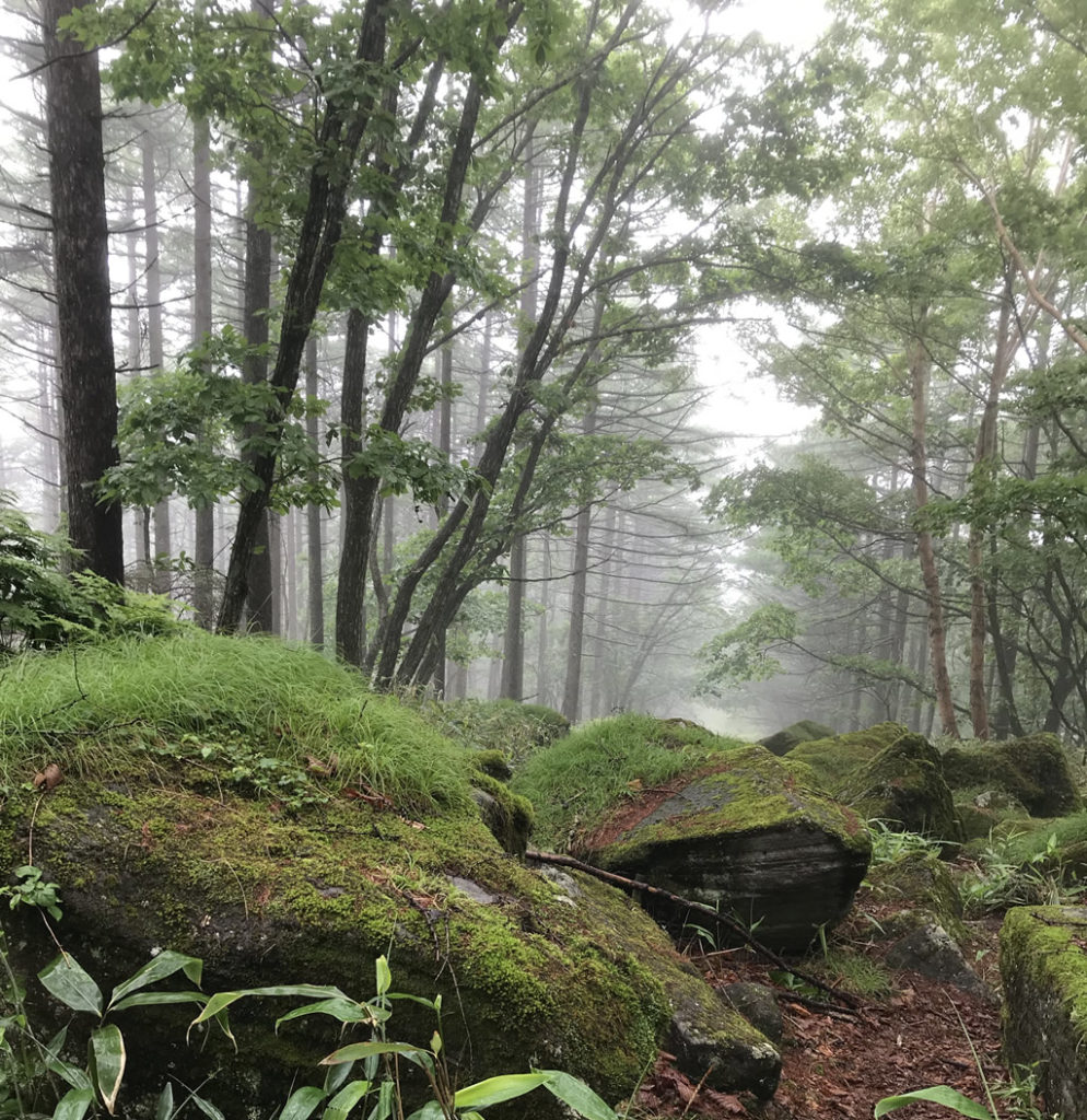 霧が峰