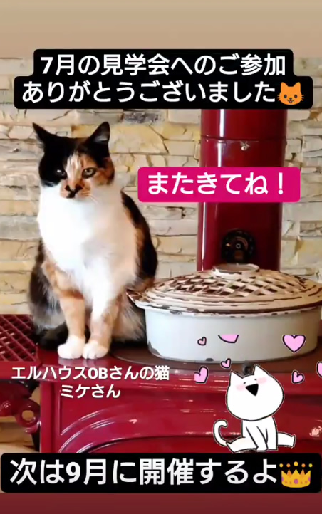 エルハウスインスタグラムストーリー猫と薪ストーブ