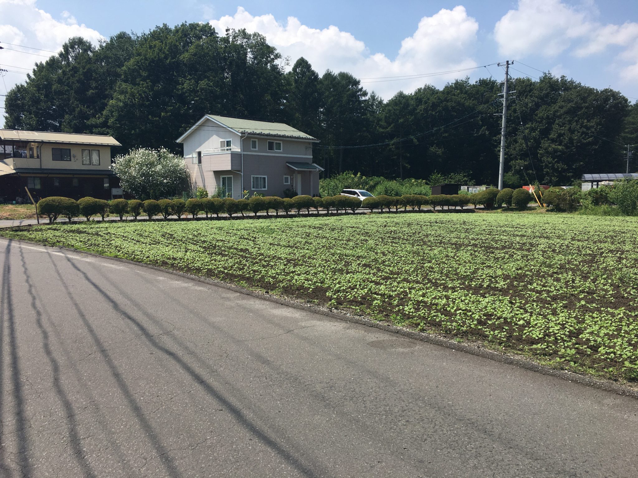 【茅野市・注文住宅】田んぼや畑に家を建てる Lhouse