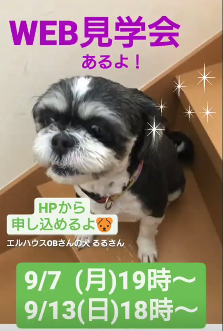 インスタグラムストーリー犬