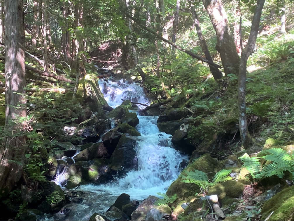 扉温泉から鉢伏山へ