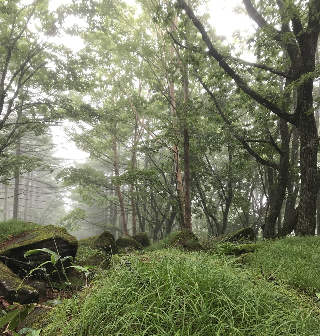 霧が峰