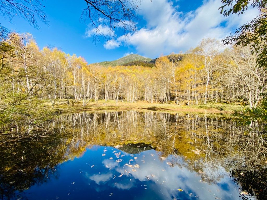 屋外サウナ 蓼科高原に散策に行ってきました Lhouse