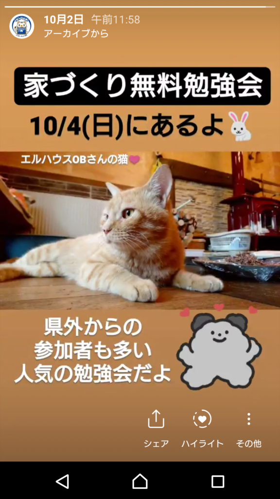 インスタグラムストーリー猫