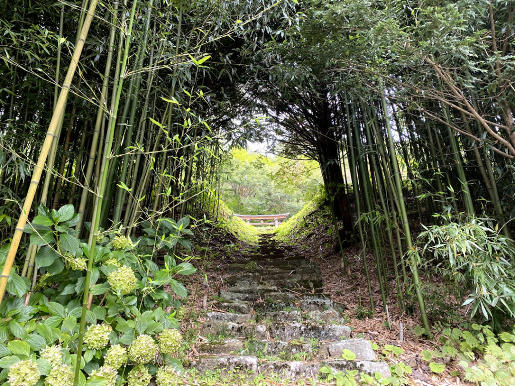 保福寺峠に向かう道