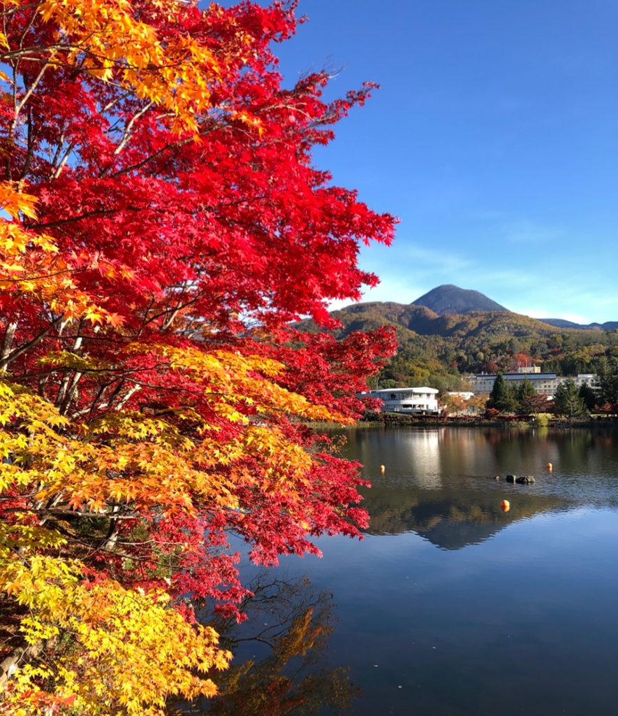 蓼科湖紅葉