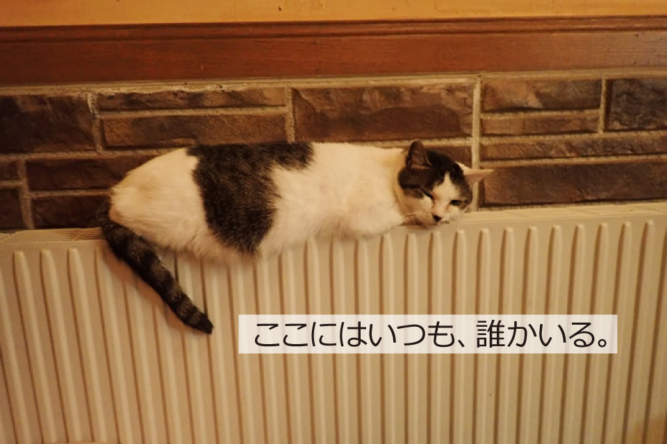 パネルヒーターと猫