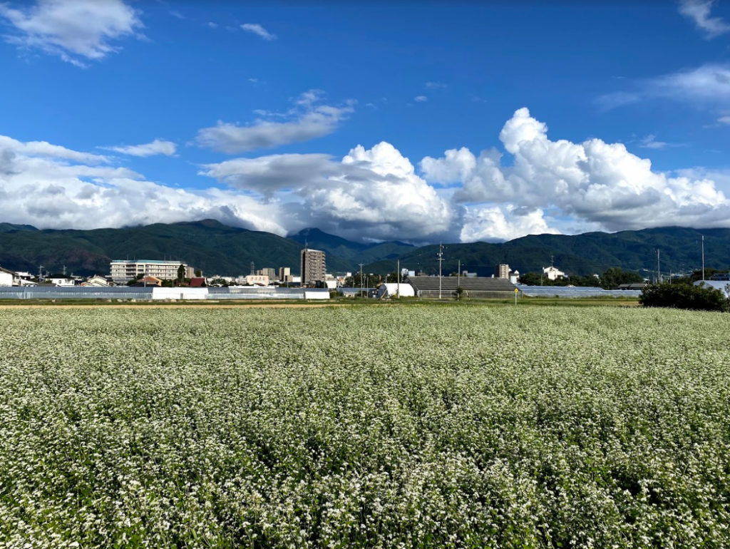 安曇野の秋