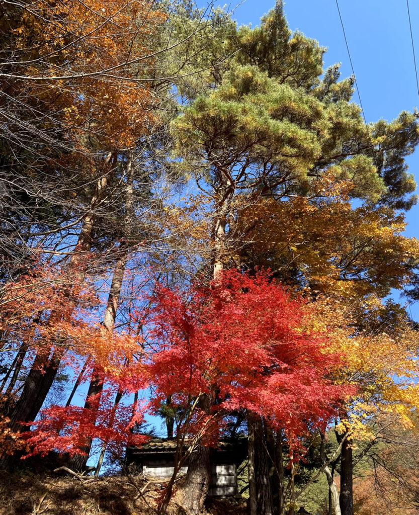 松尾峠〜もみじ湖