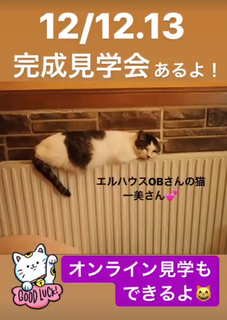 インスタグラムストーリー