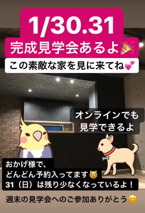 インスタグラムストーリー