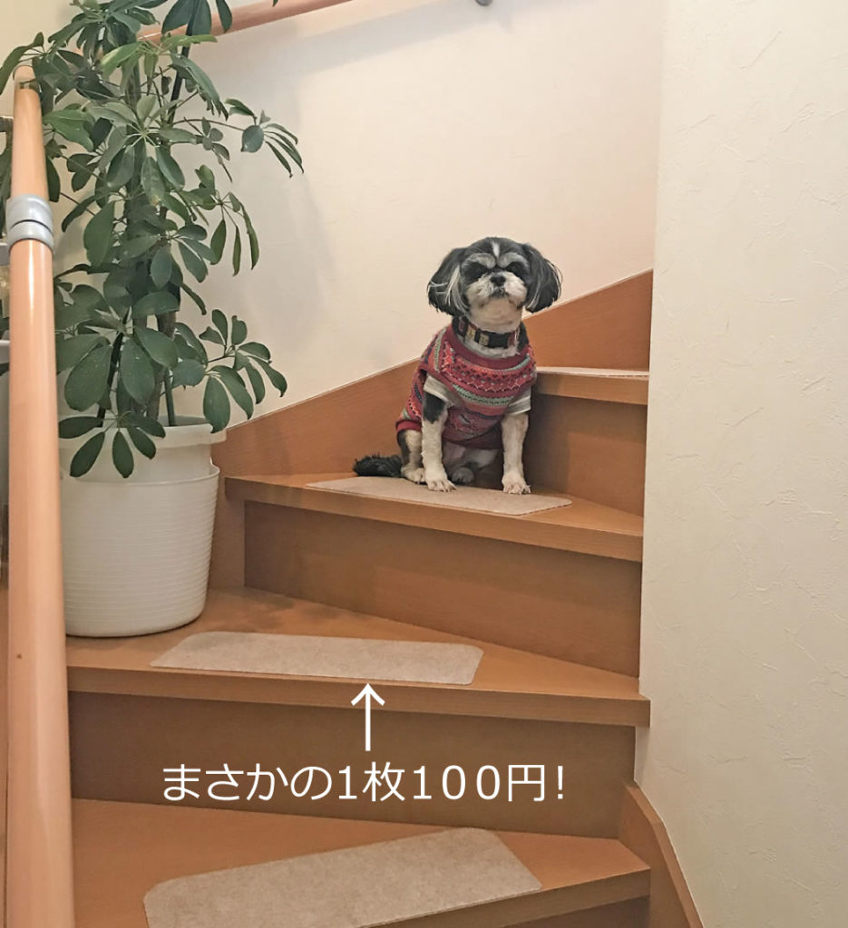 ダイソー【ピタッと吸着階段マット】階段と犬