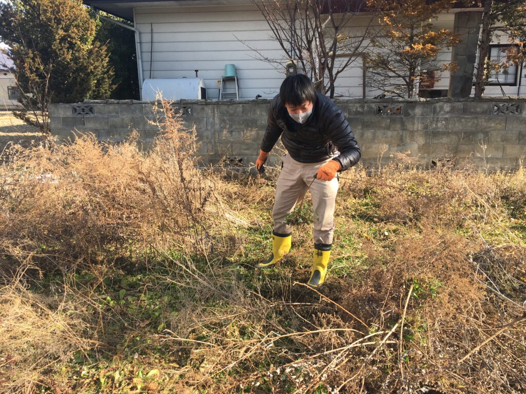 草鷺取り2