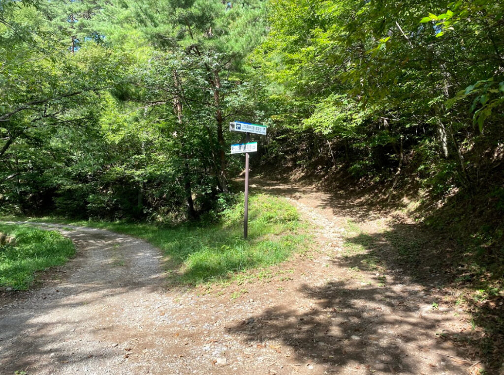 しだれ栗森林公園に向かう道