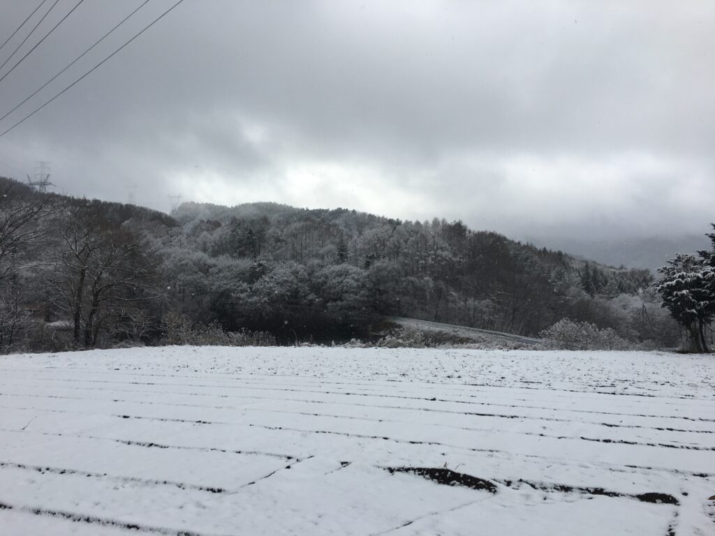 景色のいい土地