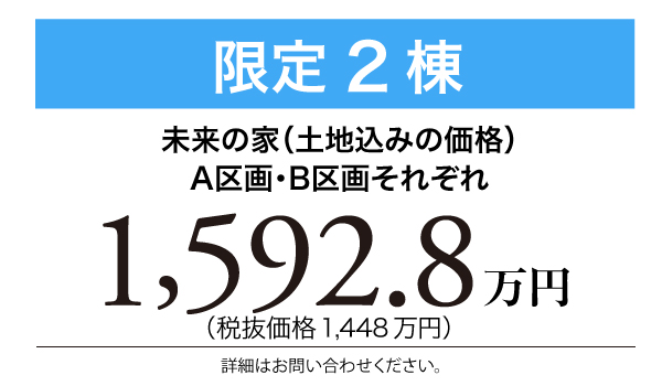 限定2棟
