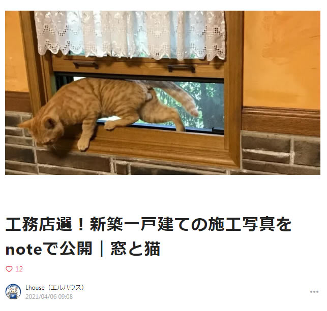 note窓と猫