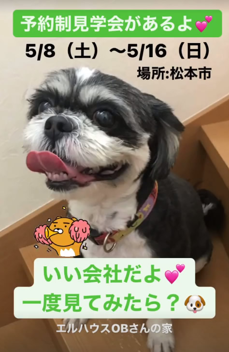 犬