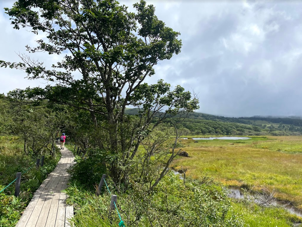 八島ヶ原湿原