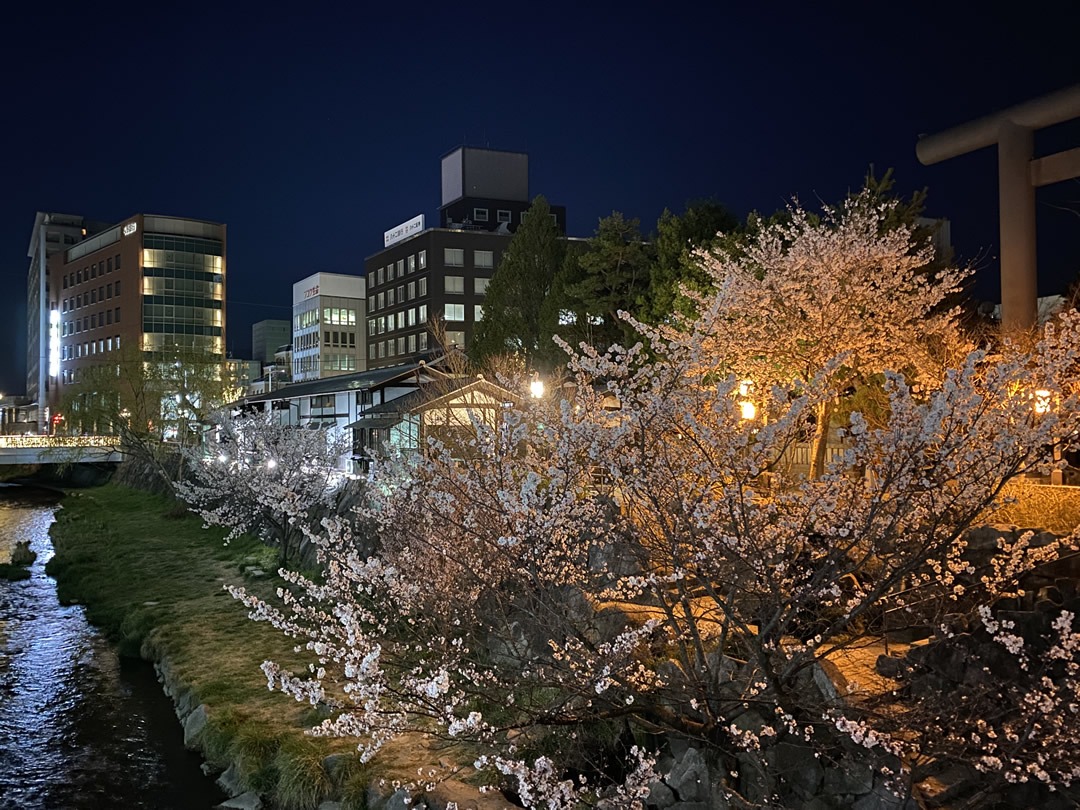 四柱神社の夜桜