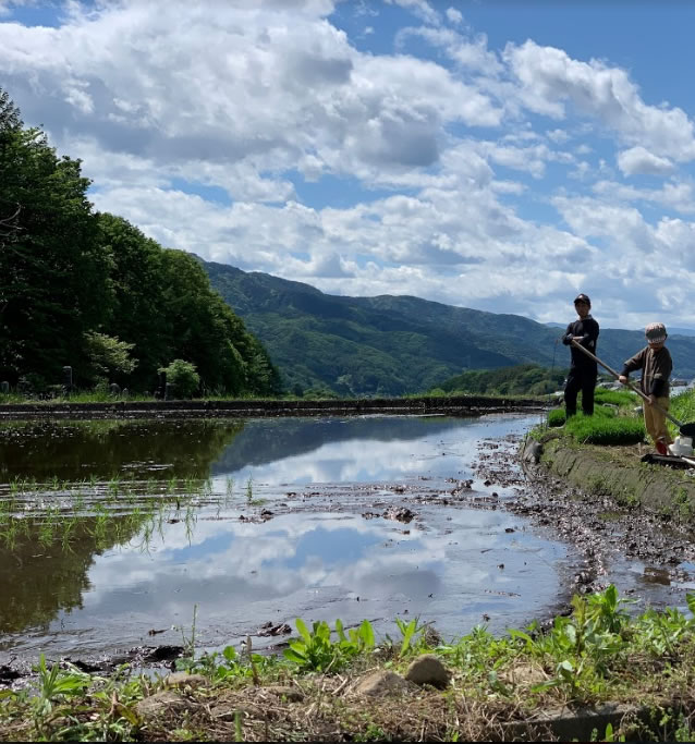 茅野市田植え