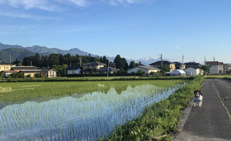 松本市梓川地区の田園風景