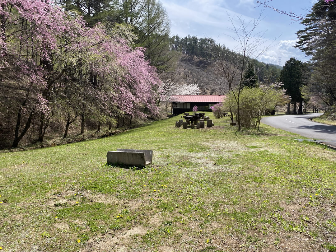 しだれ栗森林公園