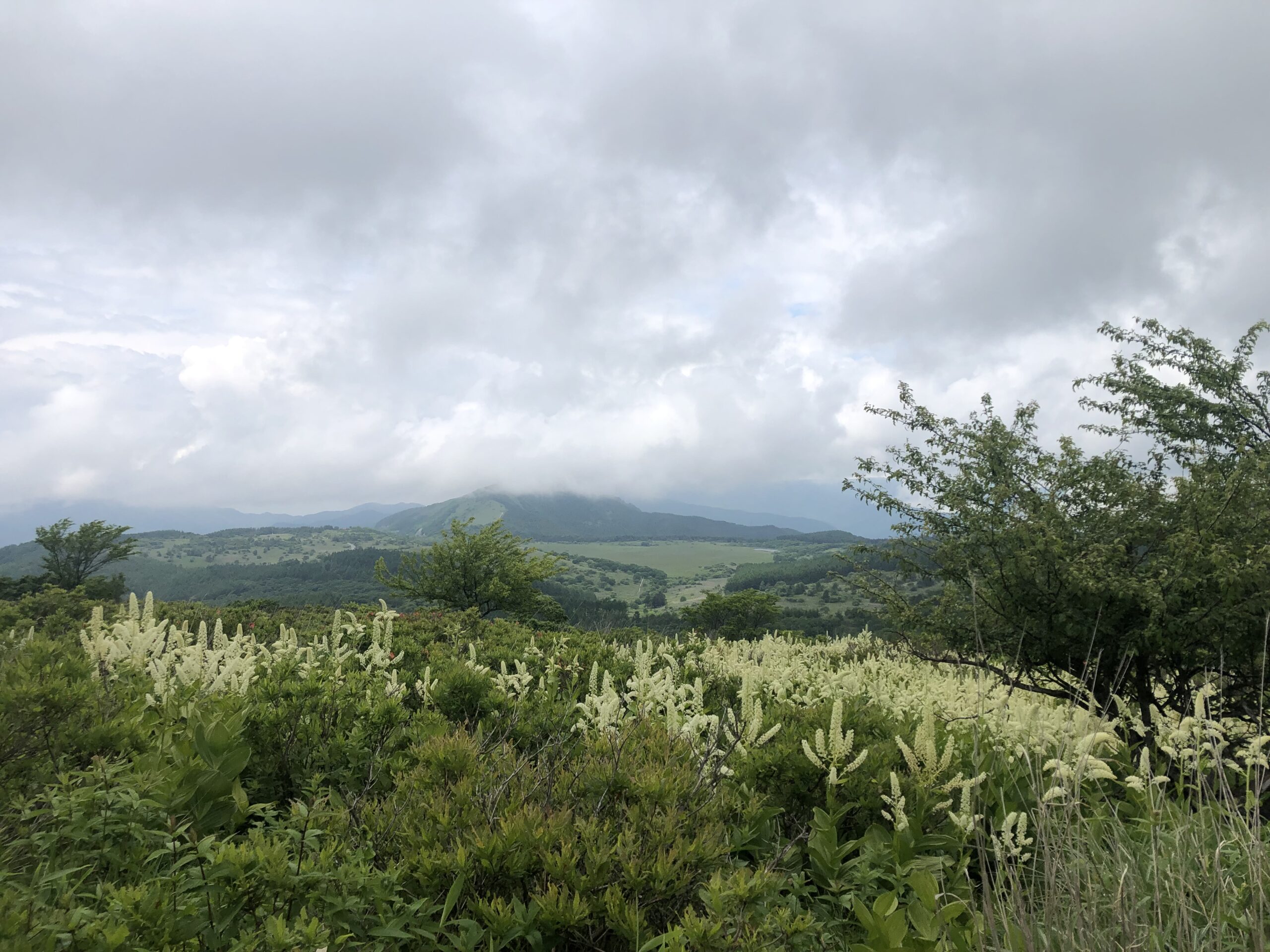 霧が峰