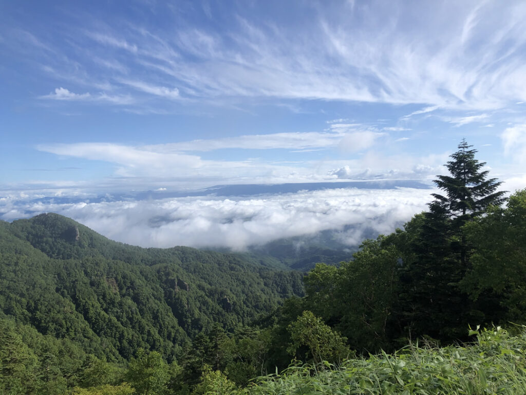 蓼科山からの景色