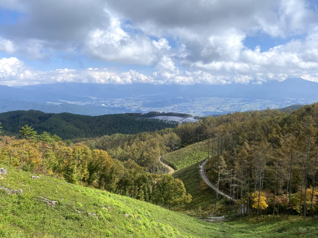 守屋山の頂上