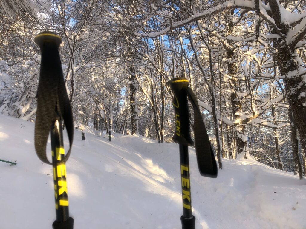 入笠山｜富士見町で注文住宅ならエルハウス