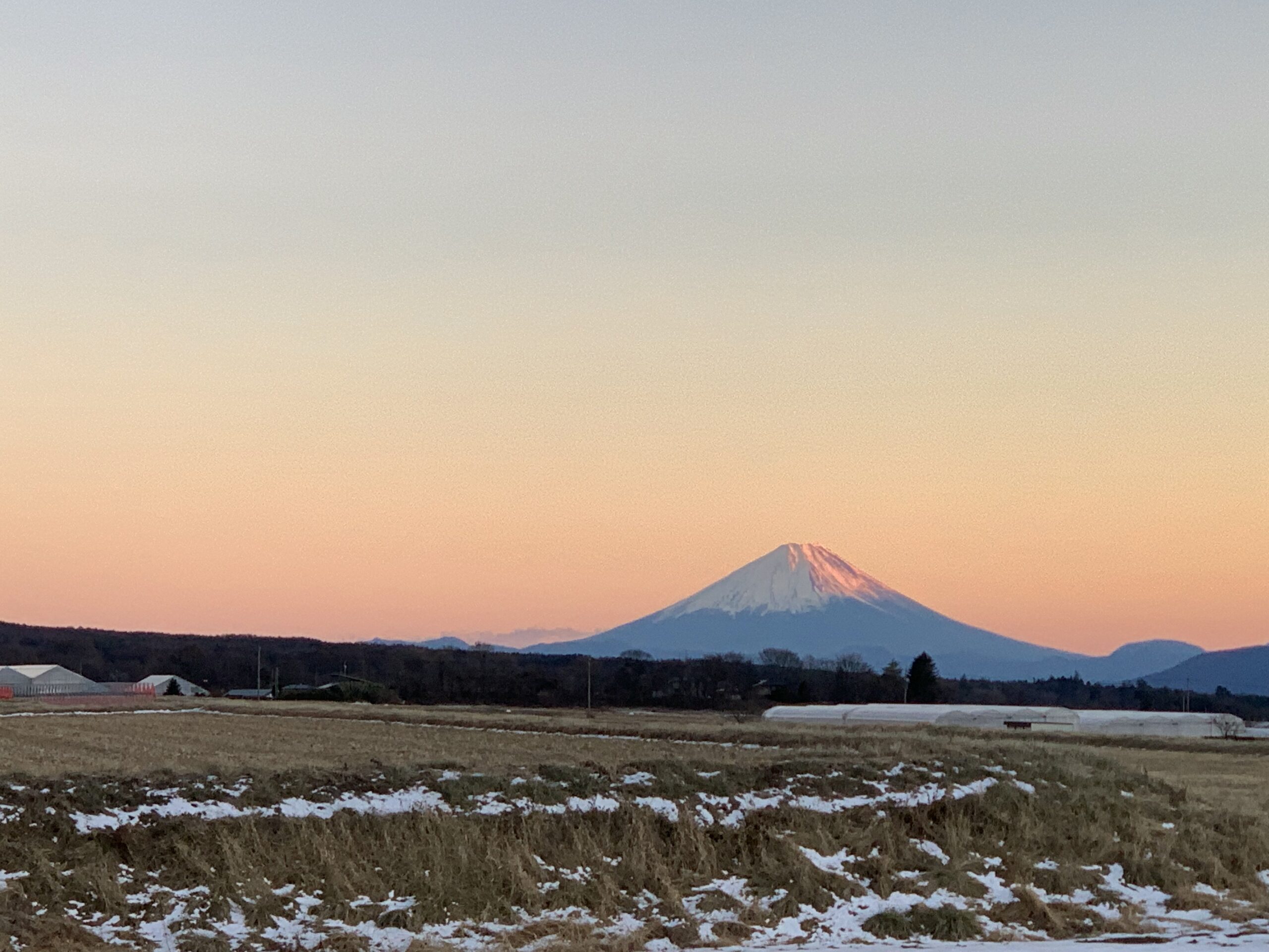 富士山