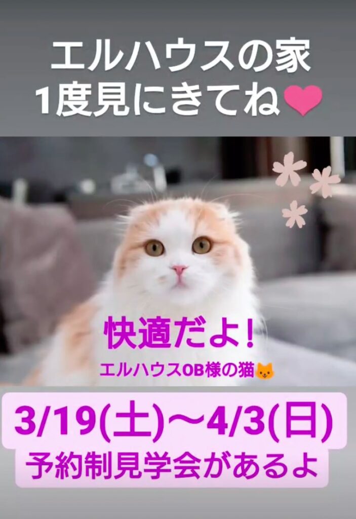 インスタグラムストーリー