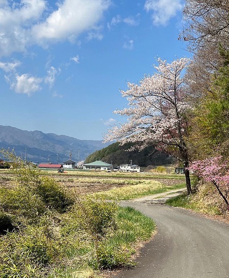 小泉山