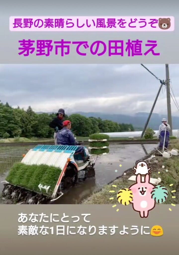 茅野市田植え