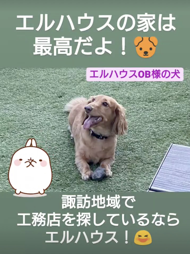 インスタグラムストーリー