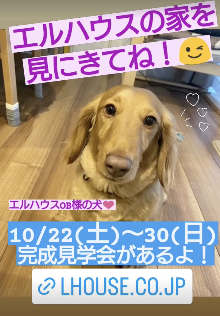 インスタグラムストーリー