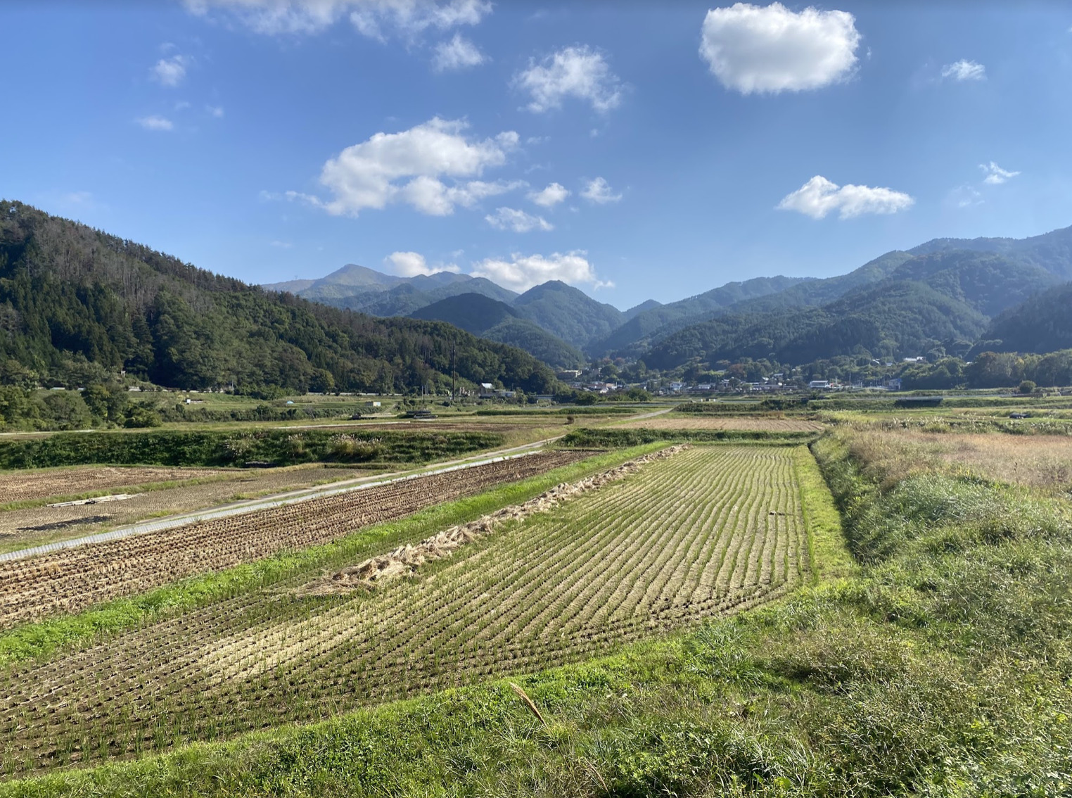 長野の田んぼ風景